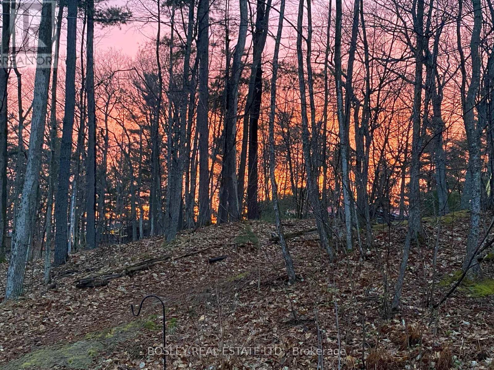 1204 Tiny Beaches Road N, Tiny, Ontario  L9M 0H7 - Photo 37 - S13041952