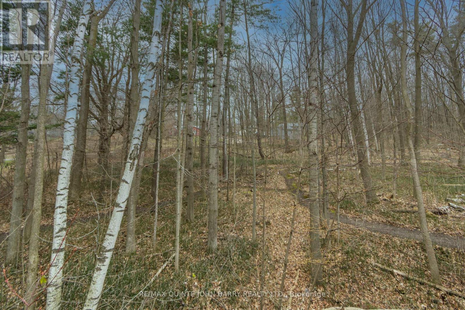 46 Twelve O'clock Pt Road, Quinte West, Ontario  K0K 1L0 - Photo 42 - X13031706