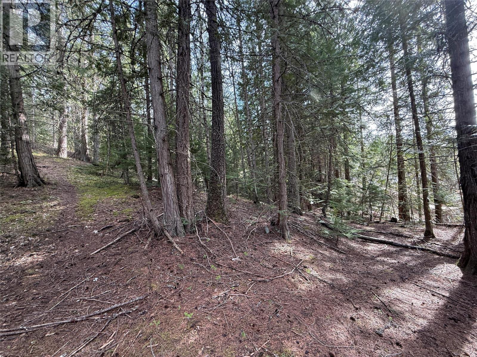 Fern Road Lot# 122, Appledale, British Columbia  V0G 2J0 - Photo 16 - 10384732