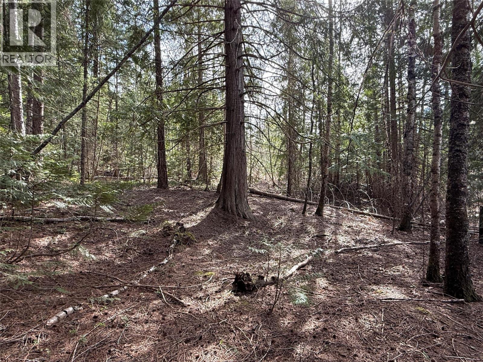 Fern Road Lot# 122, Appledale, British Columbia  V0G 2J0 - Photo 10 - 10384732