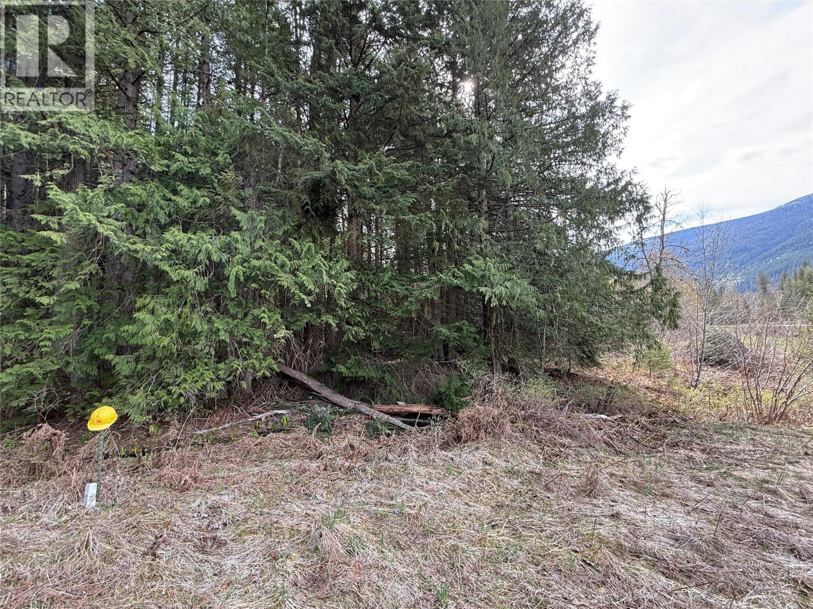 Fern Road Lot# 122, Appledale, British Columbia  V0G 2J0 - Photo 7 - 10384732