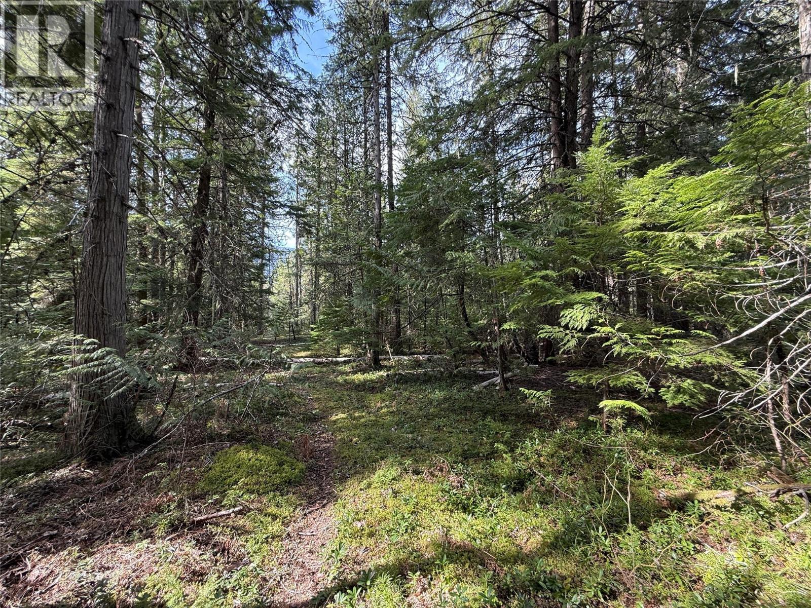 Fern Road Lot# 122, Appledale, British Columbia  V0G 2J0 - Photo 23 - 10384732