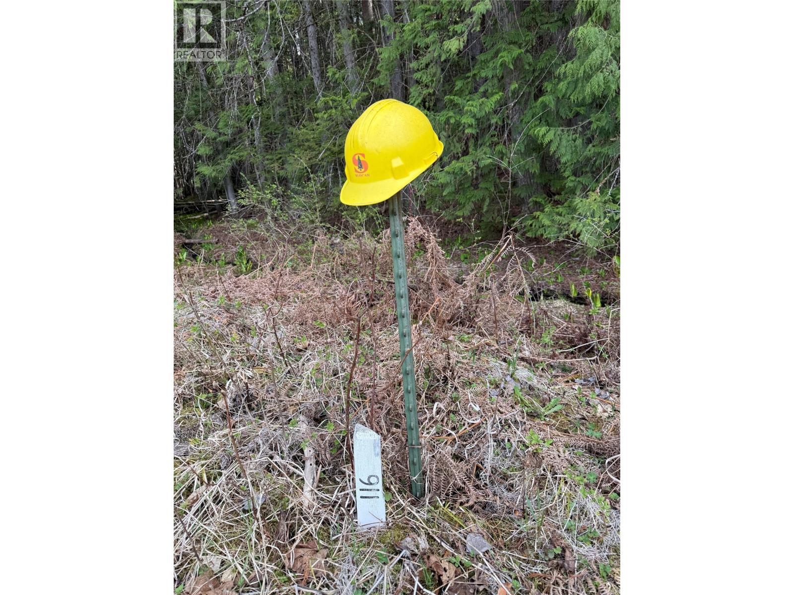 Fern Road Lot# 122, Appledale, British Columbia  V0G 2J0 - Photo 6 - 10384732