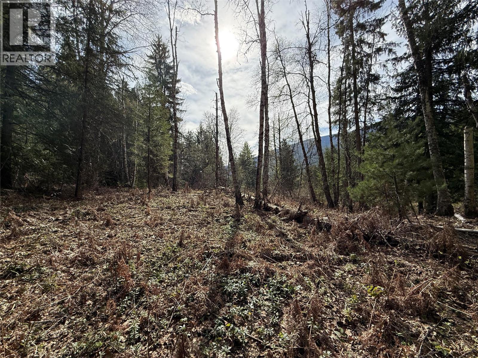 Fern Road Lot# 122, Appledale, British Columbia  V0G 2J0 - Photo 13 - 10384732