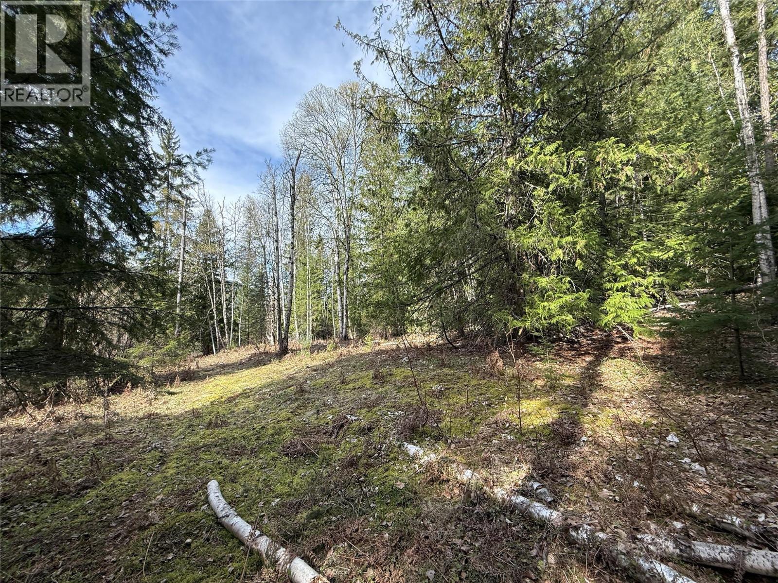 Fern Road Lot# 122, Appledale, British Columbia  V0G 2J0 - Photo 25 - 10384732
