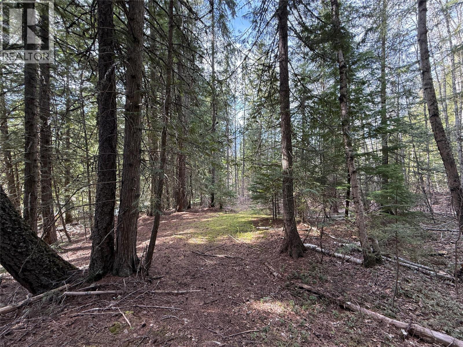 Fern Road Lot# 122, Appledale, British Columbia  V0G 2J0 - Photo 24 - 10384732