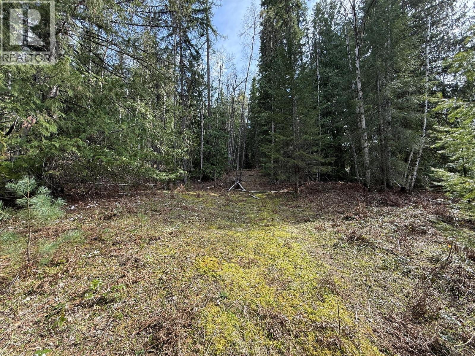Fern Road Lot# 122, Appledale, British Columbia  V0G 2J0 - Photo 14 - 10384732