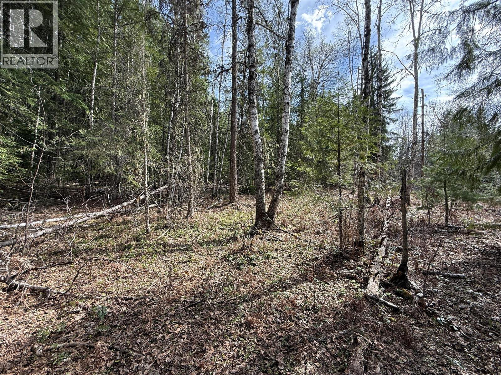 Fern Road Lot# 122, Appledale, British Columbia  V0G 2J0 - Photo 12 - 10384732