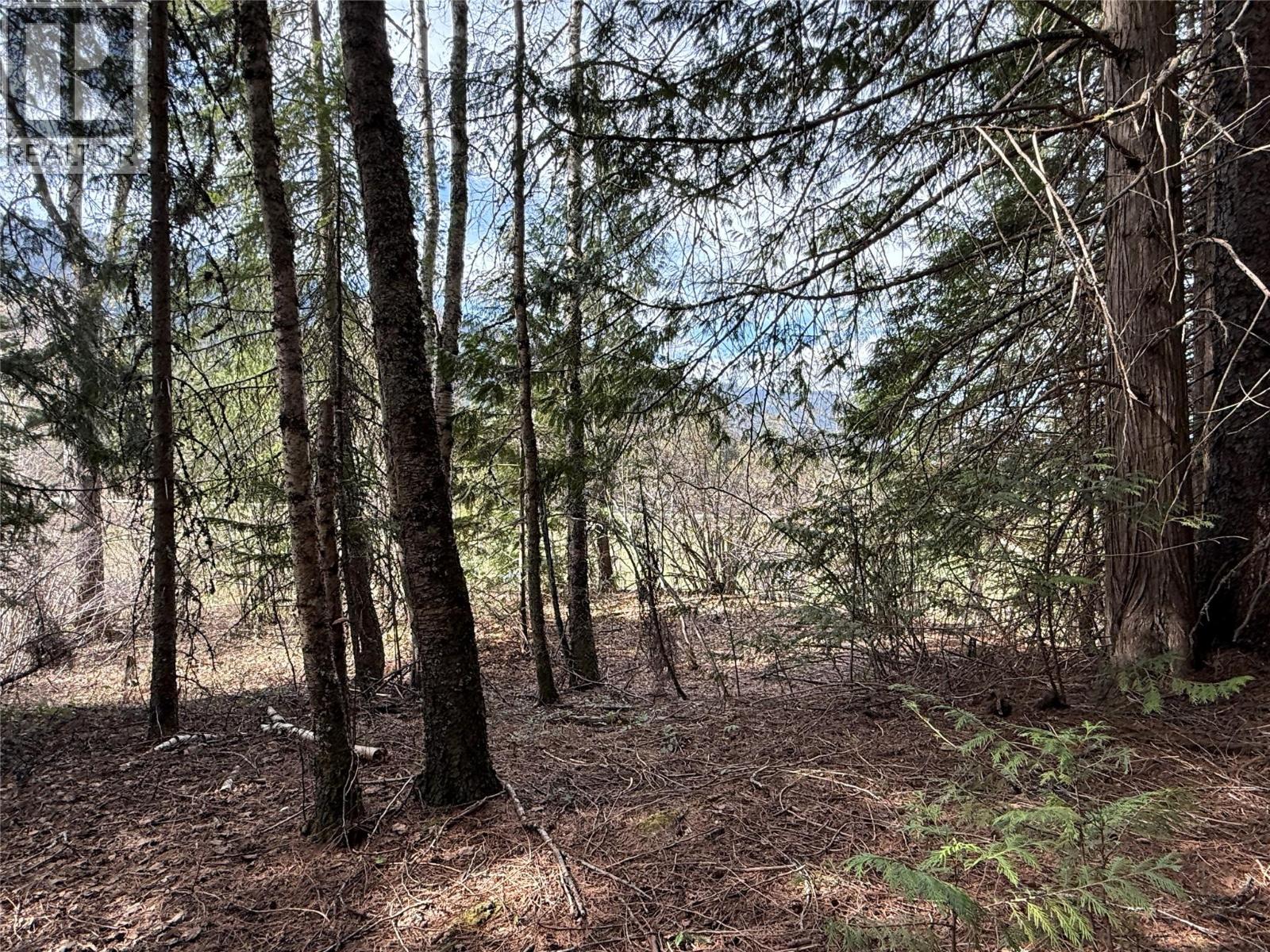 Fern Road Lot# 122, Appledale, British Columbia  V0G 2J0 - Photo 11 - 10384732