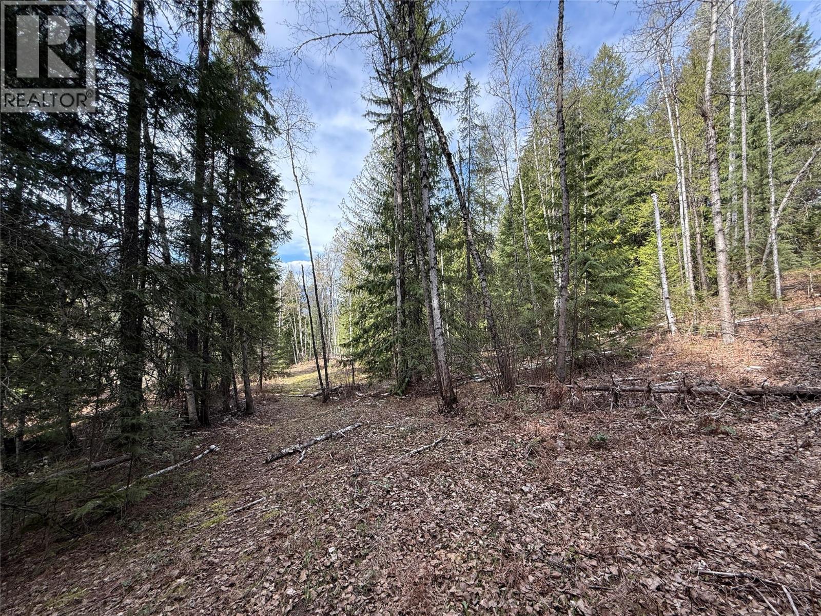 Fern Road Lot# 122, Appledale, British Columbia  V0G 2J0 - Photo 15 - 10384732