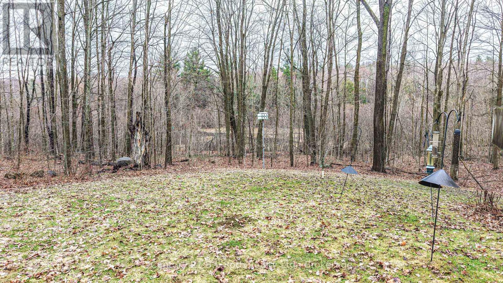 4901 11 Line N, Oro-Medonte, Ontario  L0K 1E0 - Photo 10 - S13034734