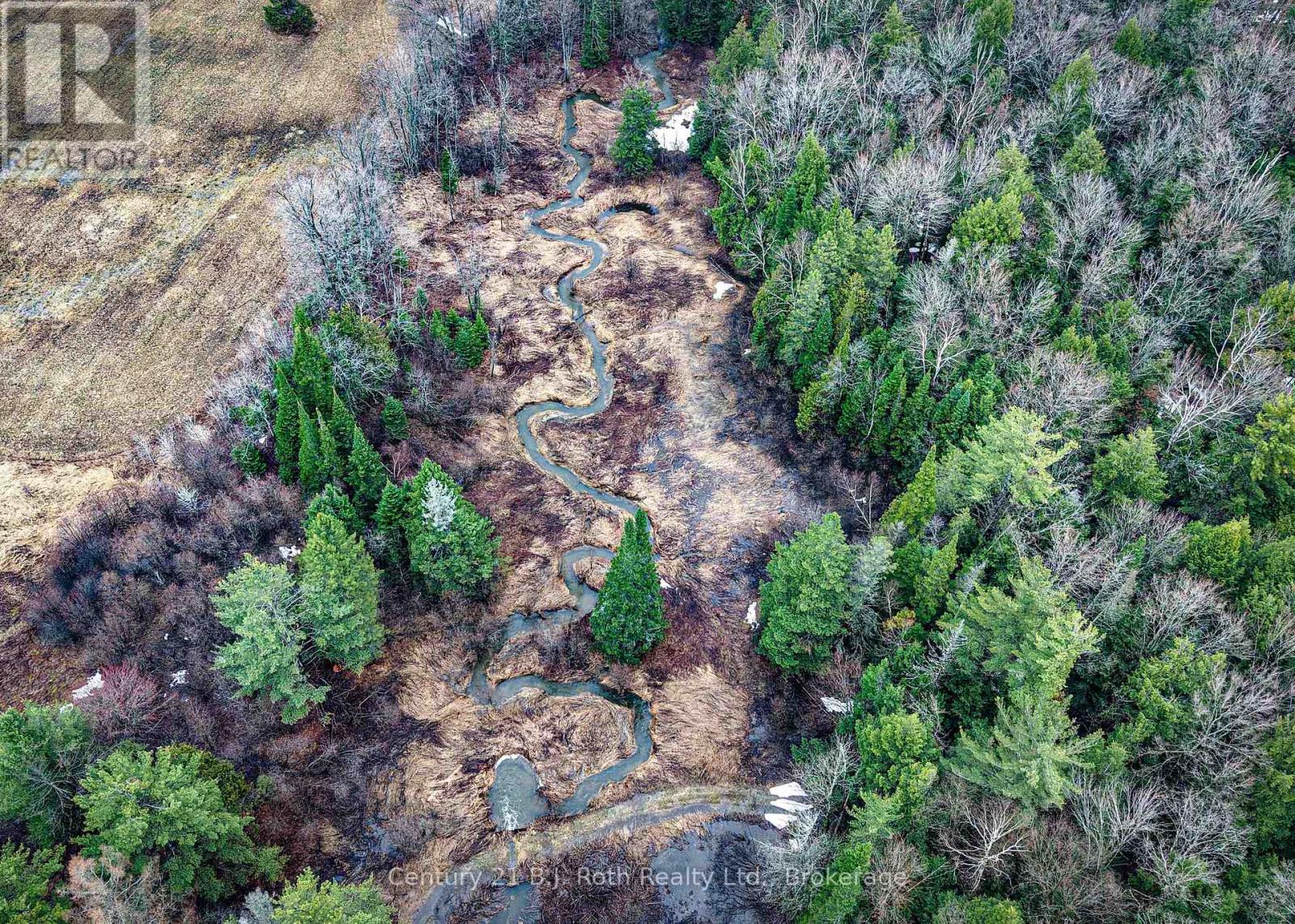 4901 11 Line N, Oro-Medonte, Ontario  L0K 1E0 - Photo 5 - S13034734
