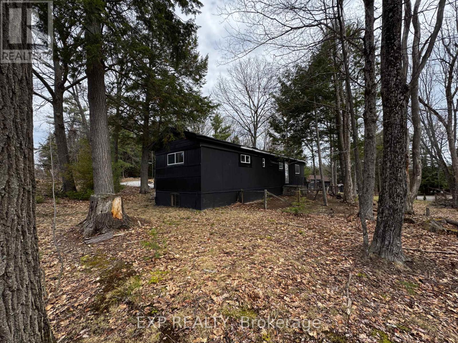 5 - 8632 Highway 35, Minden Hills, Ontario  K0M 2L1 - Photo 12 - X12877272