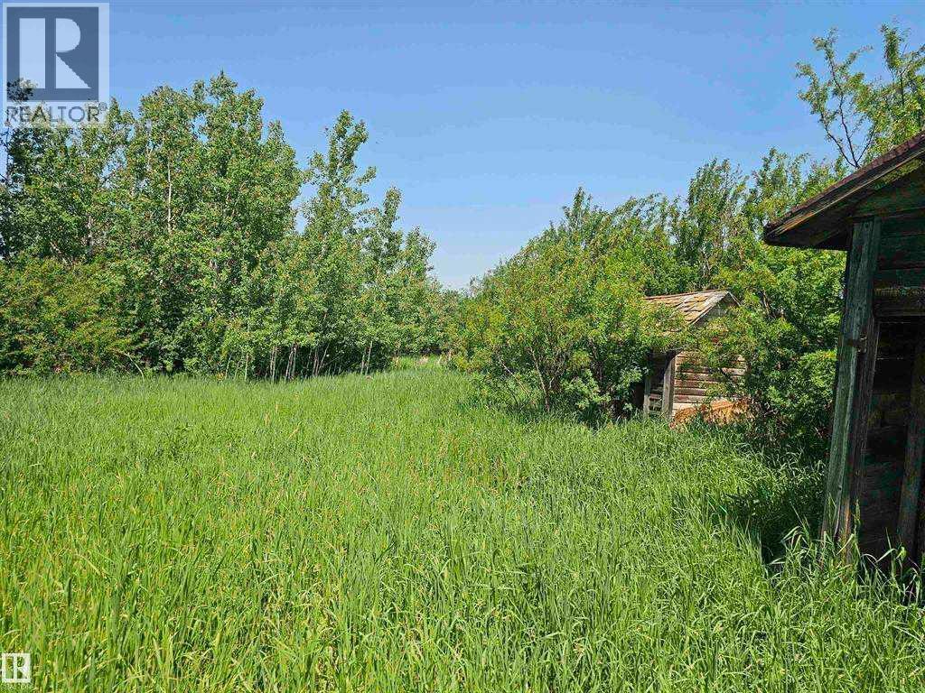 6003 49 Street, Tofield, Alberta  T0B 4J0 - Photo 3 - A2305014