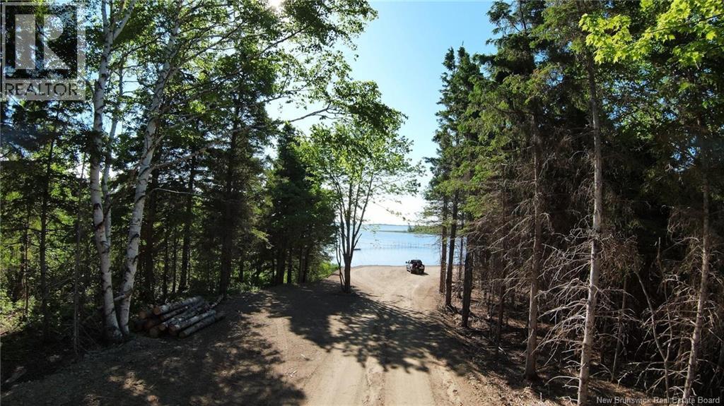 Lot Route 11, Pokemouche, New Brunswick  E8P 1K2 - Photo 2 - NB137893