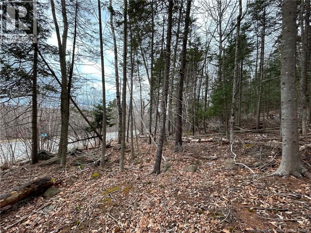 Lot Main Street, Hampton, New Brunswick  E5N 6G8 - Photo 4 - NB137844