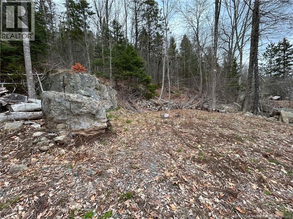 Lot Main Street, Hampton, New Brunswick  E5N 6G8 - Photo 5 - NB137844