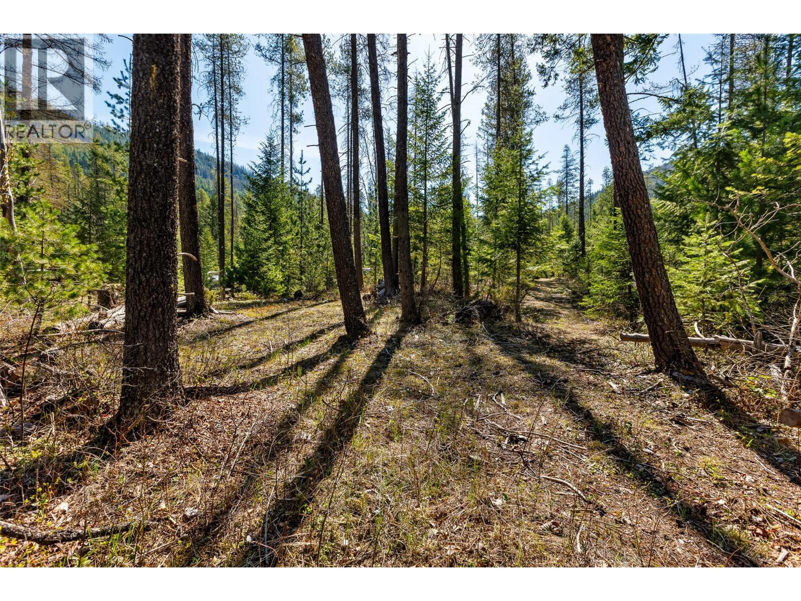 7760 95 Highway, Kingsgate, British Columbia  V0B 1V1 - Photo 34 - 10384540