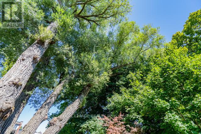 83 Kerr Street, Oakville, Ontario  L6K 3A2 - Photo 5 - W12979384