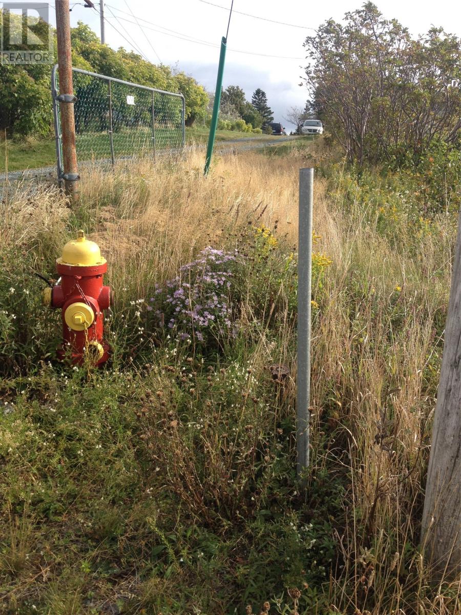 4 Cemetery Hill, Bell Island, Newfoundland & Labrador  A0A 4H0 - Photo 8 - 1294287
