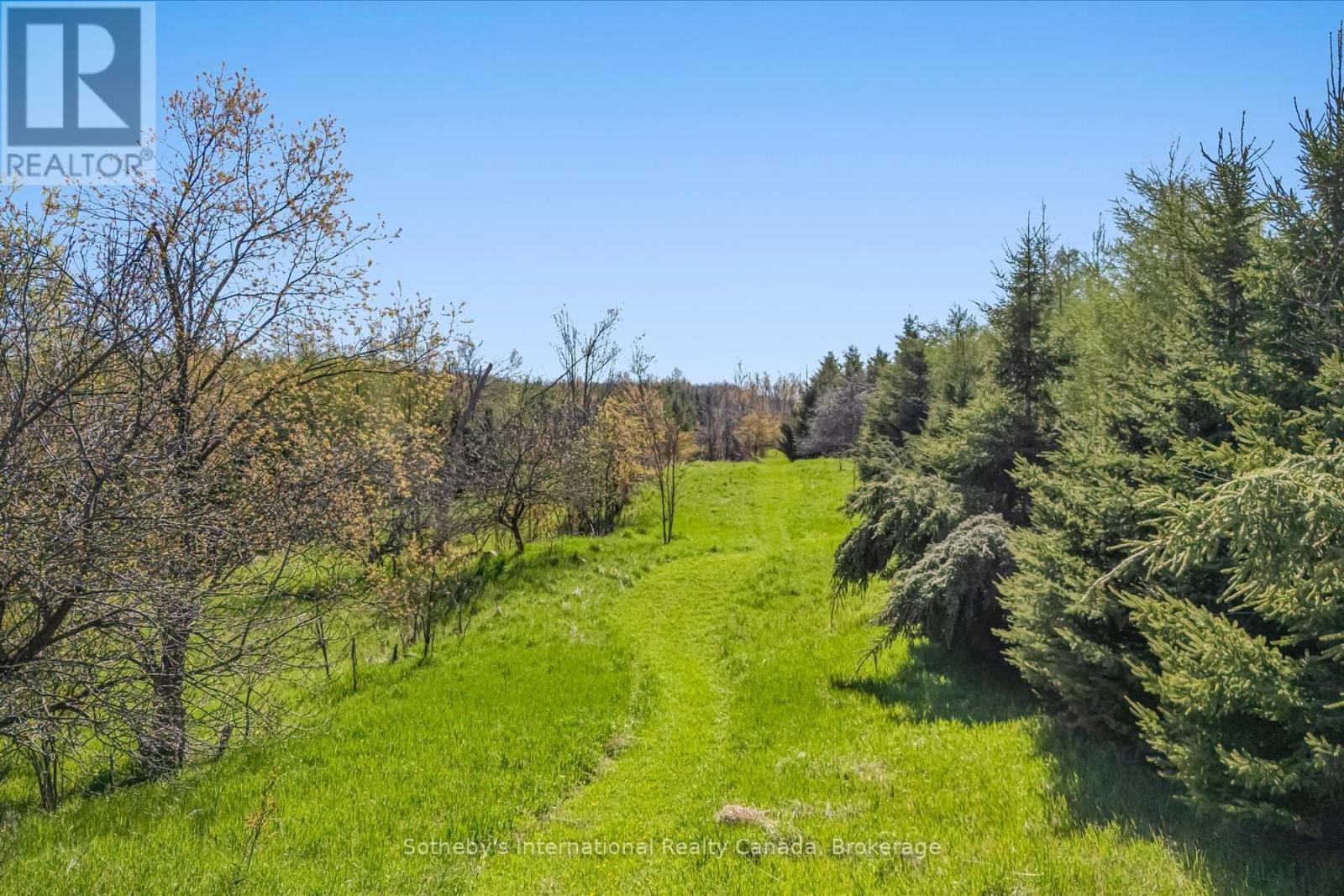 717218 1st Line E, Mulmur, Ontario  L9V 0G2 - Photo 45 - X13042318