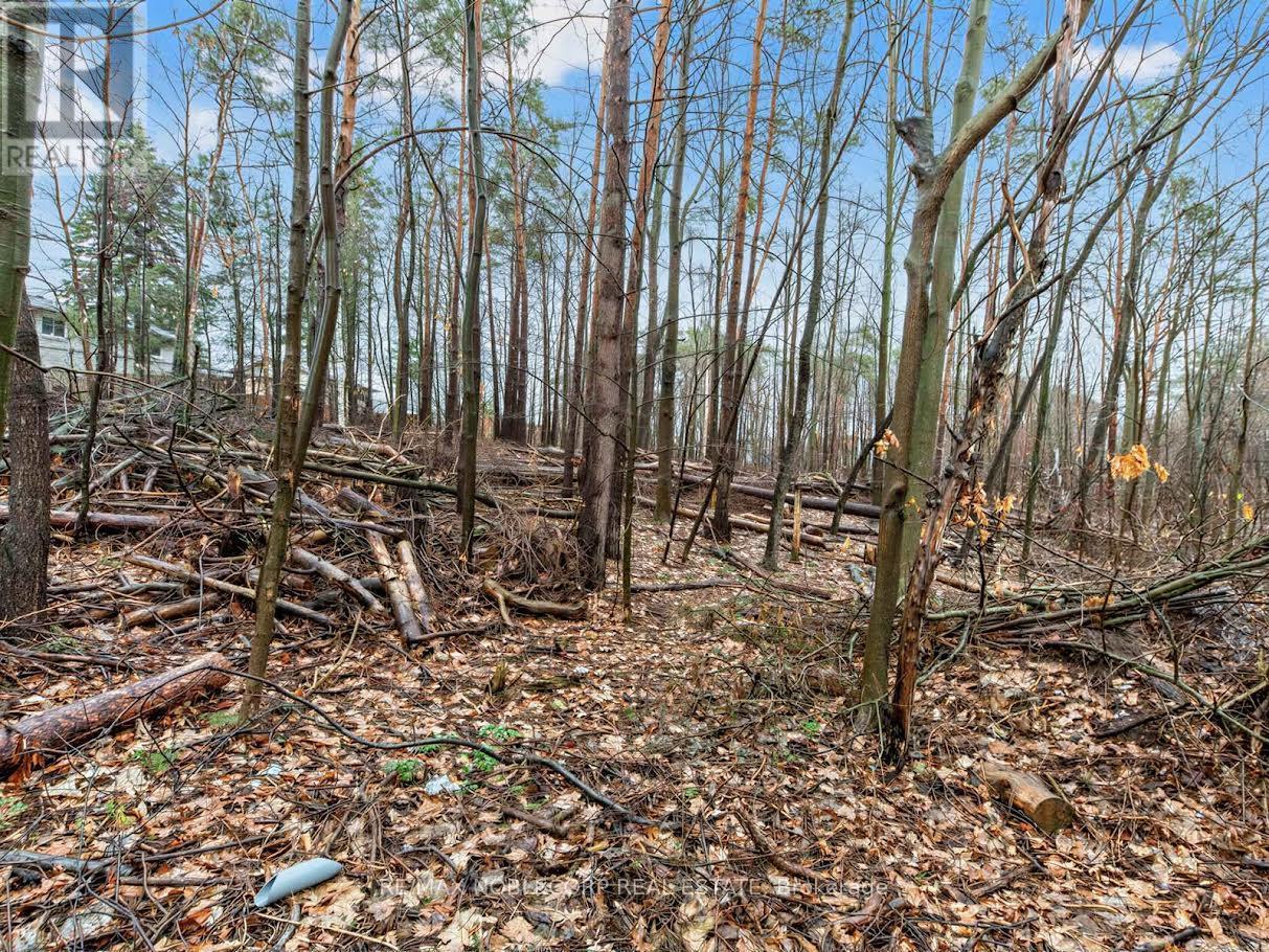 Upper Main - 59 Scott Crescent, Barrie (Letitia Heights), Ontario  L4N 4W2 - Photo 26 - S13042374