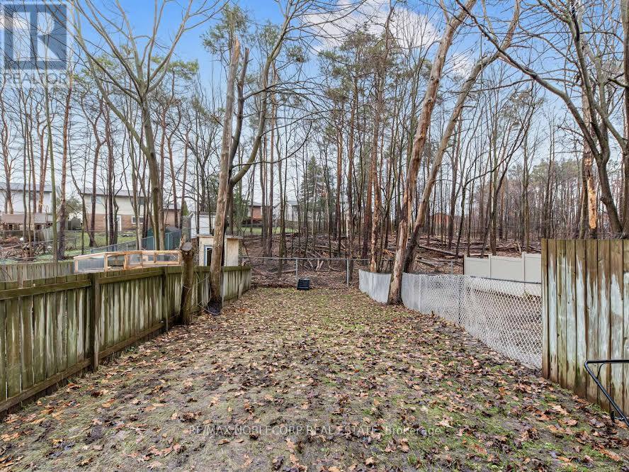 Lower - 59 Scott Crescent, Barrie, Ontario  L4N 4W2 - Photo 17 - S13042384