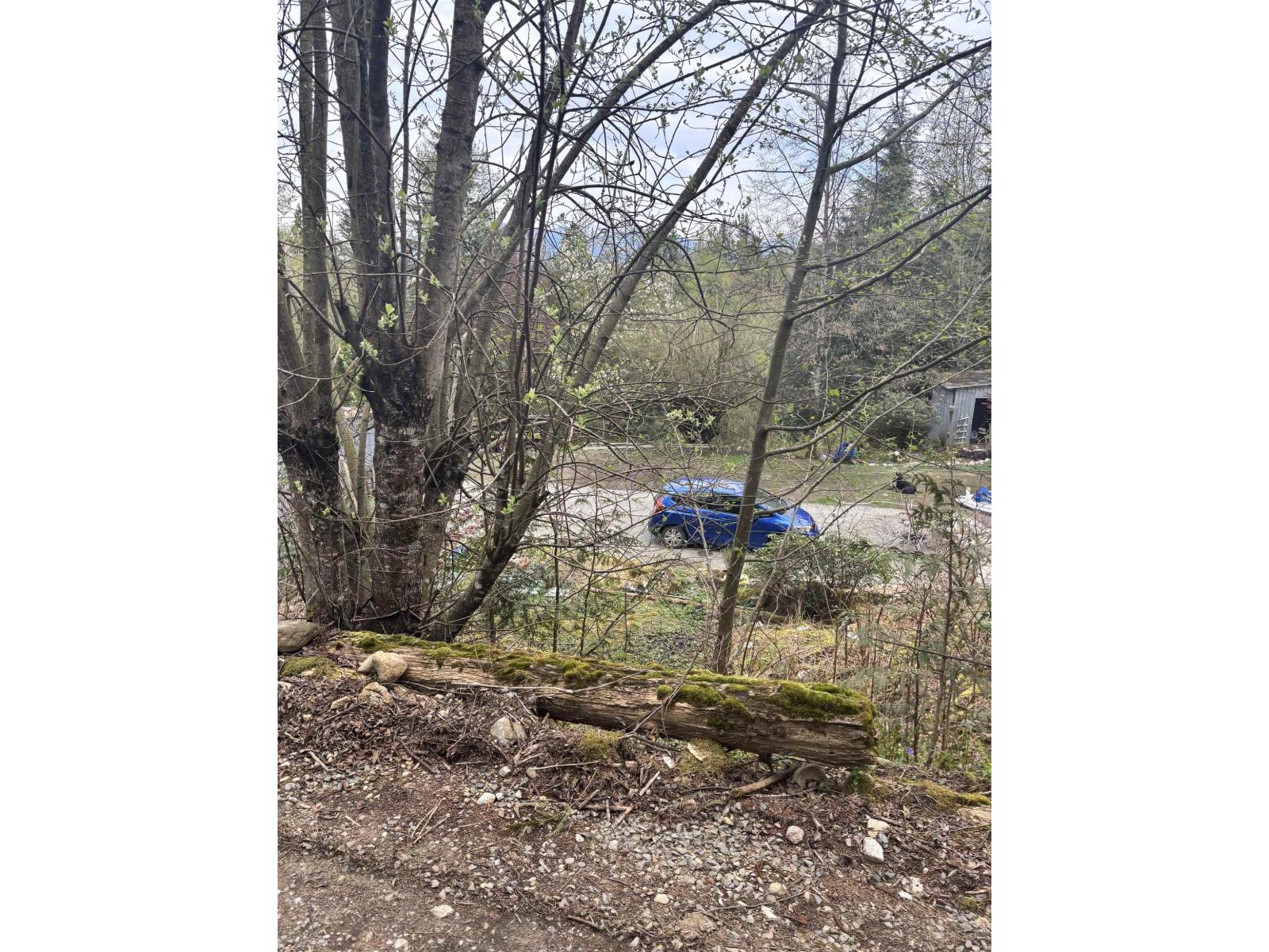 37710 Batt Road, Abbotsford, British Columbia  V3G 2L3 - Photo 22 - R3115469