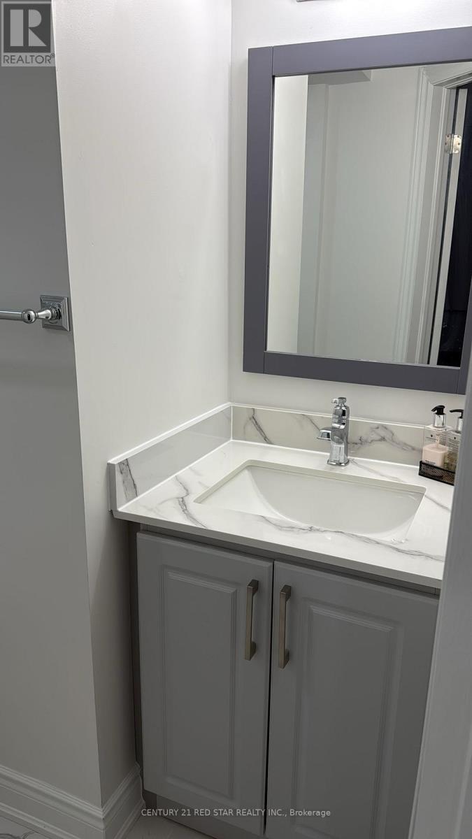 Bsmt - 1358 Beauty Bush Court, Mississauga, Ontario  L5V 1K4 - Photo 4 - W13042272