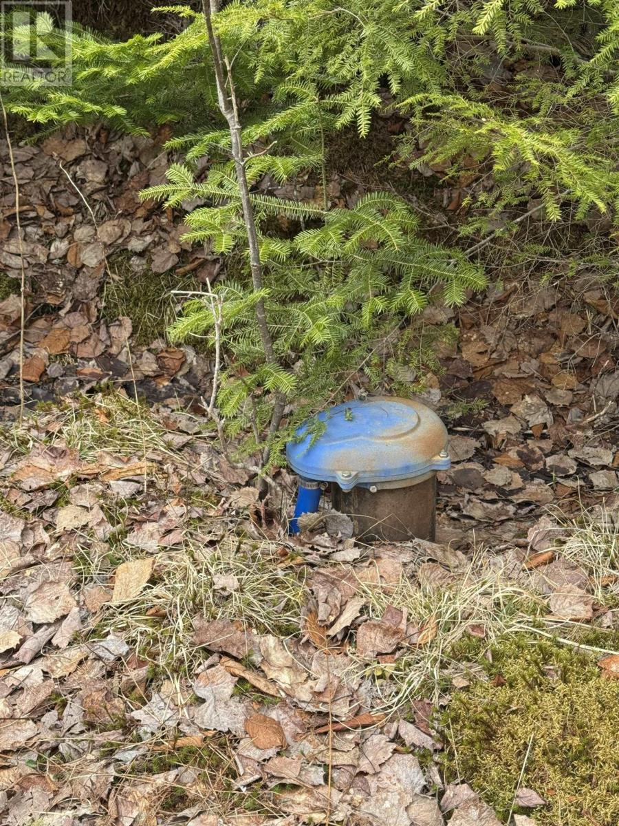 314 Chalet Drive, Vaughan, Nova Scotia  B0N 2T0 - Photo 23 - 202608591