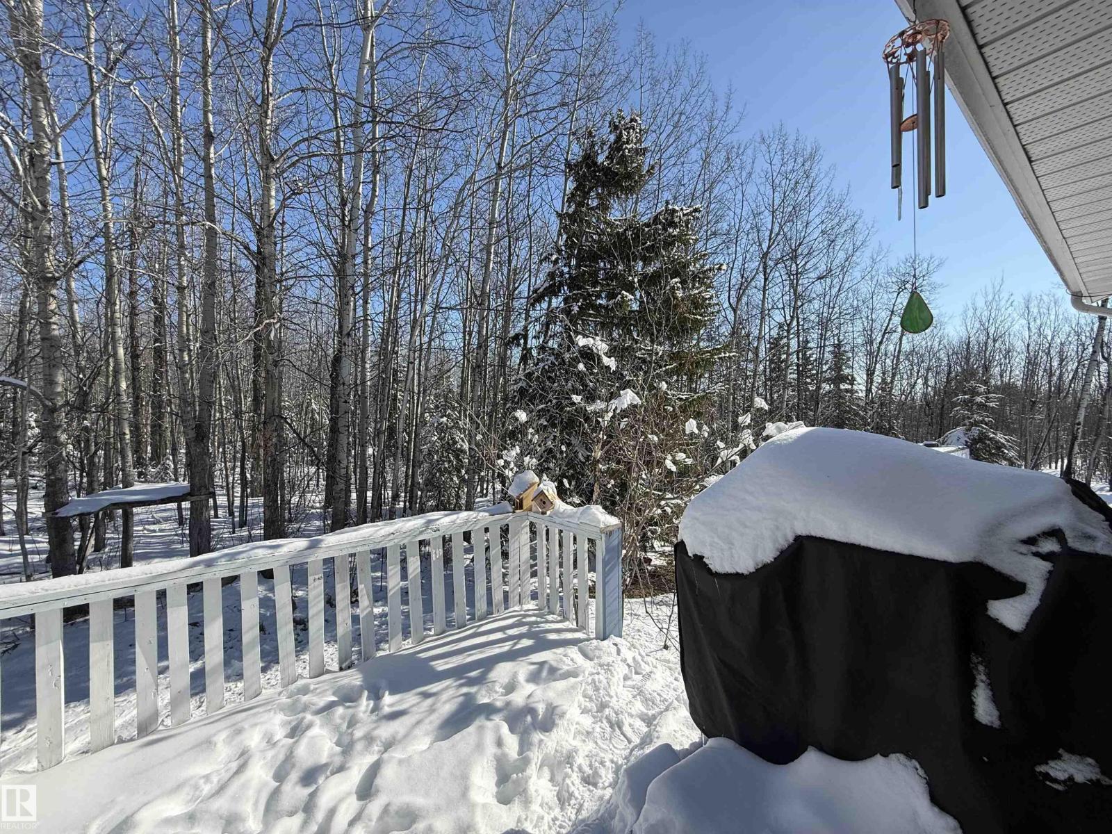 64 Tawatinaw Dr, Rural Athabasca County, Alberta  T9S 2A2 - Photo 13 - E4484116