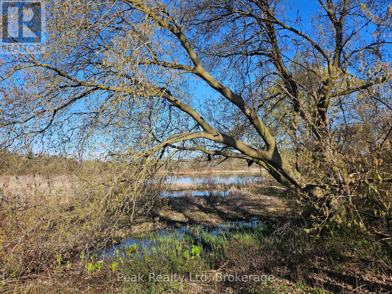 122 Keats Drive, Woodstock, Ontario  N4S 8B8 - Photo 7 - X13042564