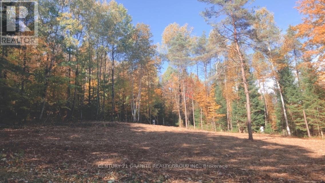 27455 62 Highway S, Bancroft (Dungannon Ward), Ontario  K0L 1C0 - Photo 49 - X13041530