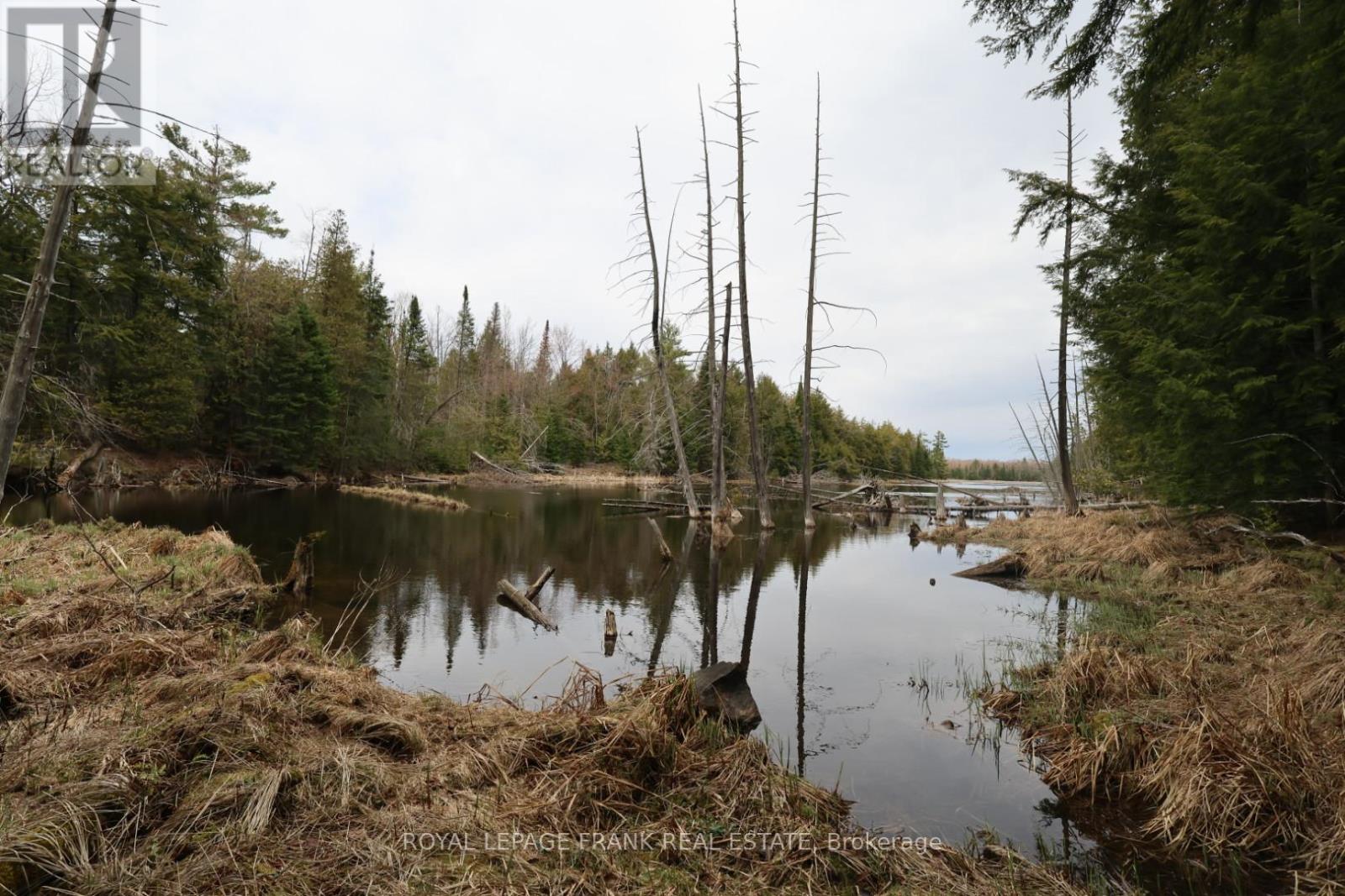 165 County Rd 507, Trent Lakes, Ontario  K0L 1J0 - Photo 43 - X13042698