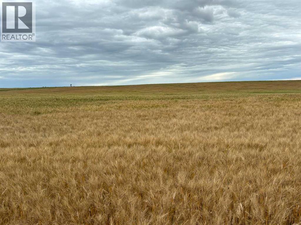 NE 15 31 27 W4, Rural Mountain View County, Alberta  T0M 1X0 - Photo 4 - A2250178