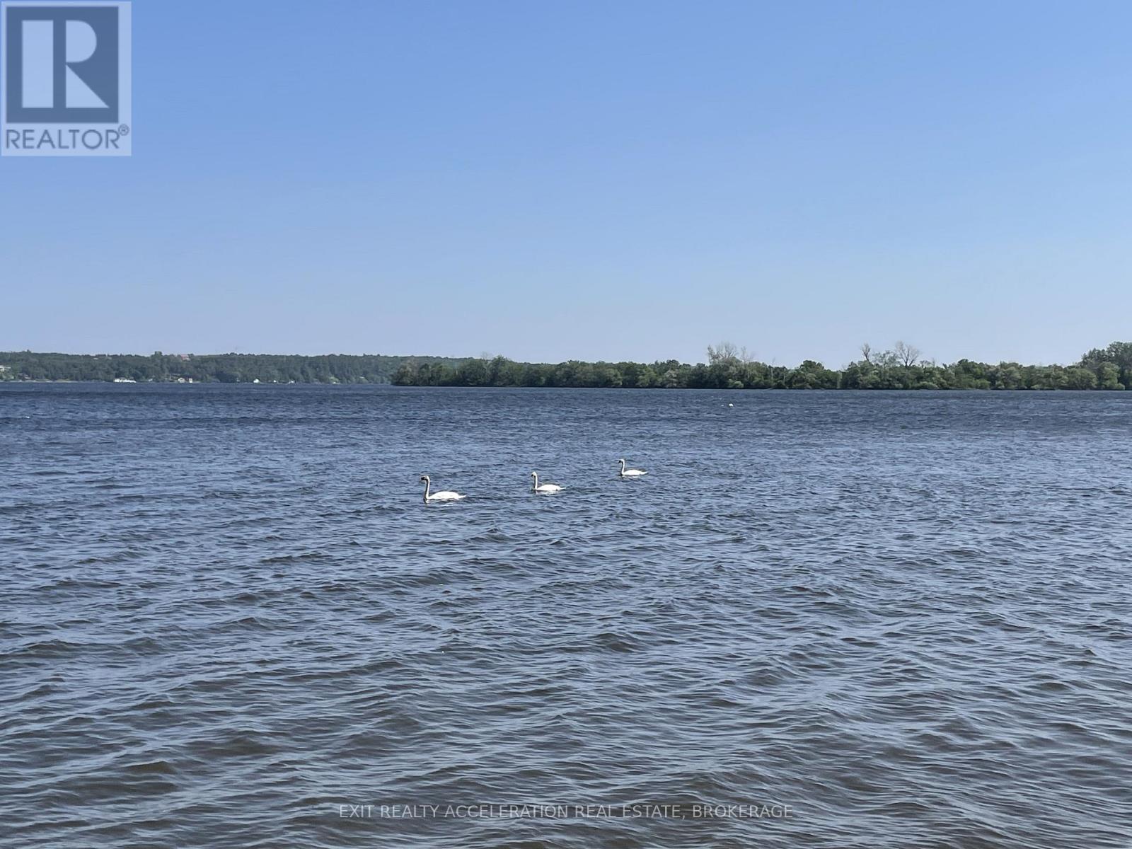 84 Main Street, Deseronto, Ontario  K0K 1X0 - Photo 39 - X13042622