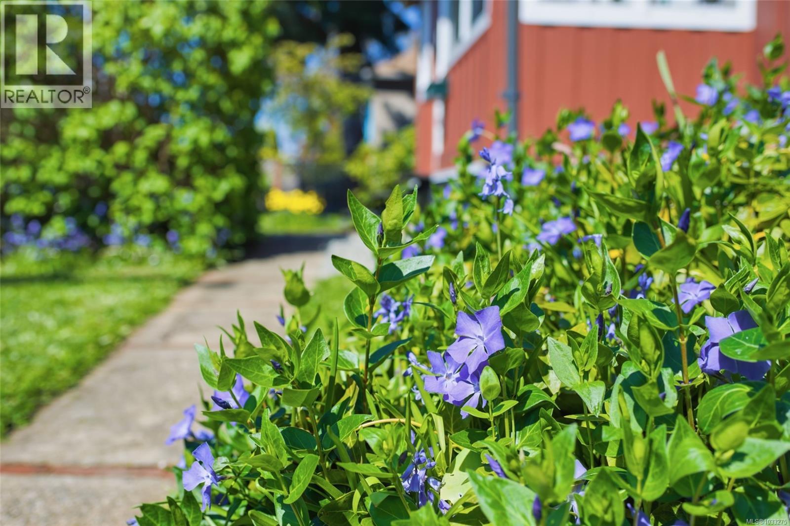 2861 8th Ave, Port Alberni, British Columbia  V9Y 2K6 - Photo 18 - 1033275