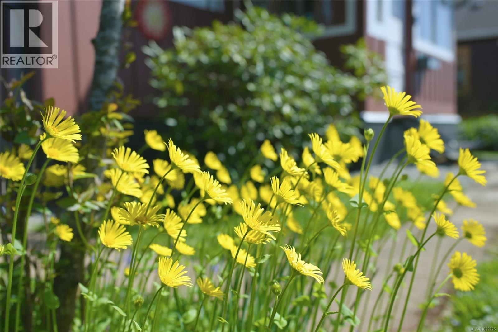 2861 8th Ave, Port Alberni, British Columbia  V9Y 2K6 - Photo 21 - 1033275