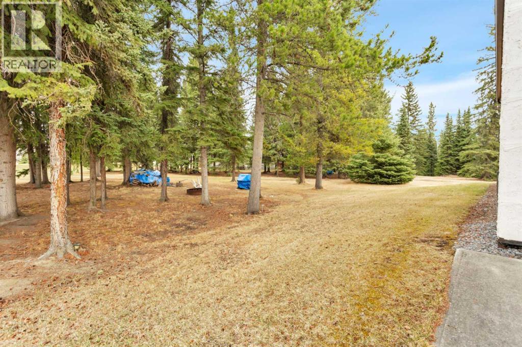 383030 Range Road 7-3, Rural Clearwater County, Alberta  T4T 2A2 - Photo 34 - A2303204