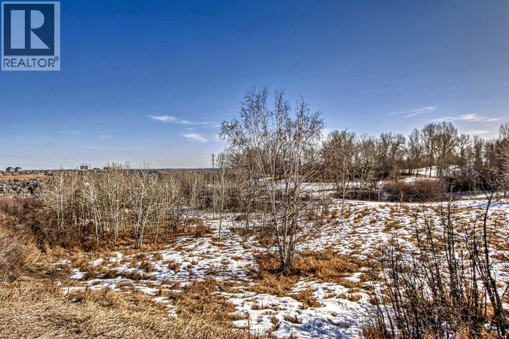 202, 520 Cedar Crescent Sw, Calgary, Alberta  T3C 2Y8 - Photo 39 - A2303330