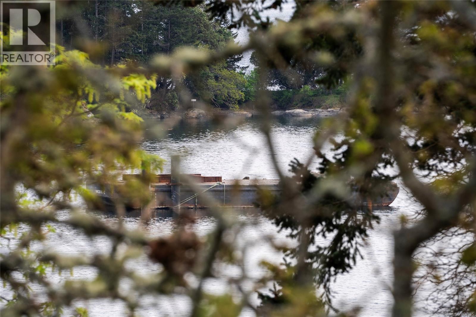 77 View Royal Ave, View Royal, British Columbia  V9B 1A6 - Photo 4 - 1032845