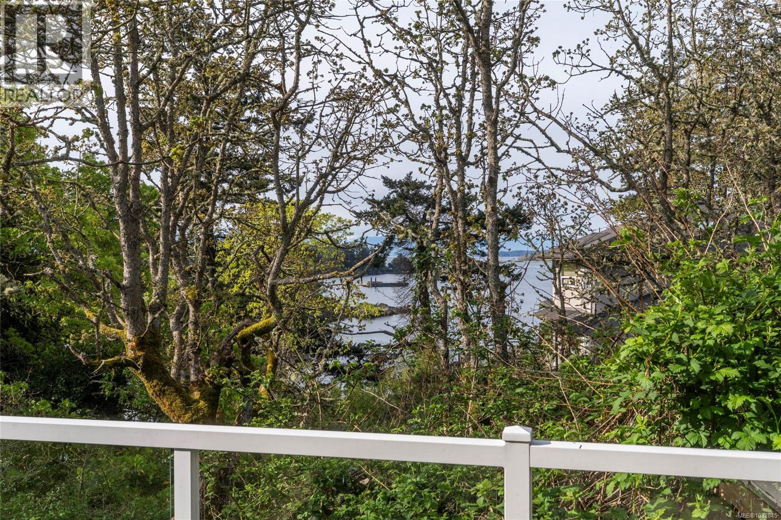 77 View Royal Ave, View Royal, British Columbia  V9B 1A6 - Photo 21 - 1032845