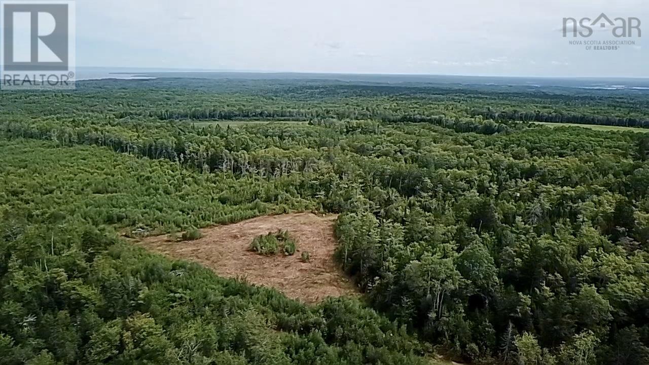 Lot 10 Peck Meadow Road, Greenfield, Nova Scotia  B4P 2R1 - Photo 4 - 202608597