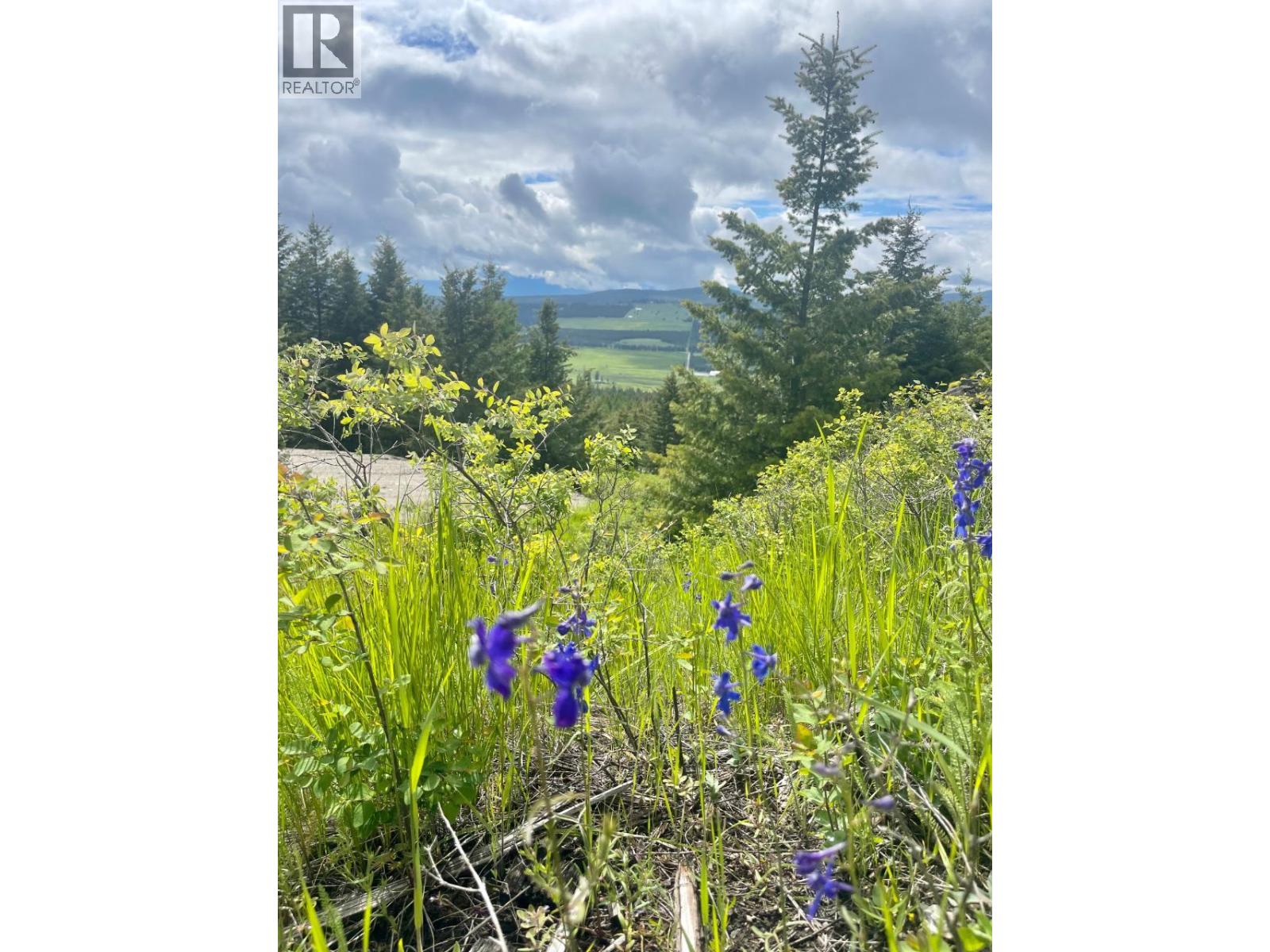 1355 Timberwolf Trail, Rock Creek, British Columbia  V0H 1N1 - Photo 12 - 10382767