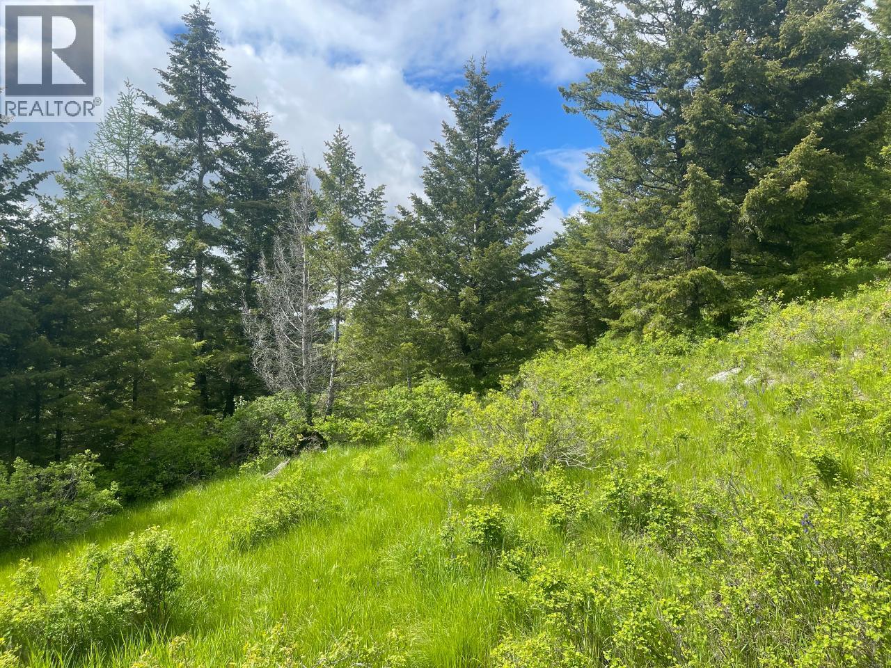 1355 Timberwolf Trail, Rock Creek, British Columbia  V0H 1N1 - Photo 6 - 10382767