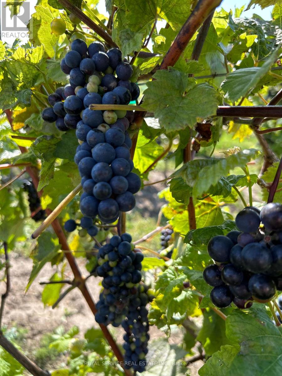 3775 Ganaraska Road, Clarington, Ontario  L0B 1M0 - Photo 2 - E13042436