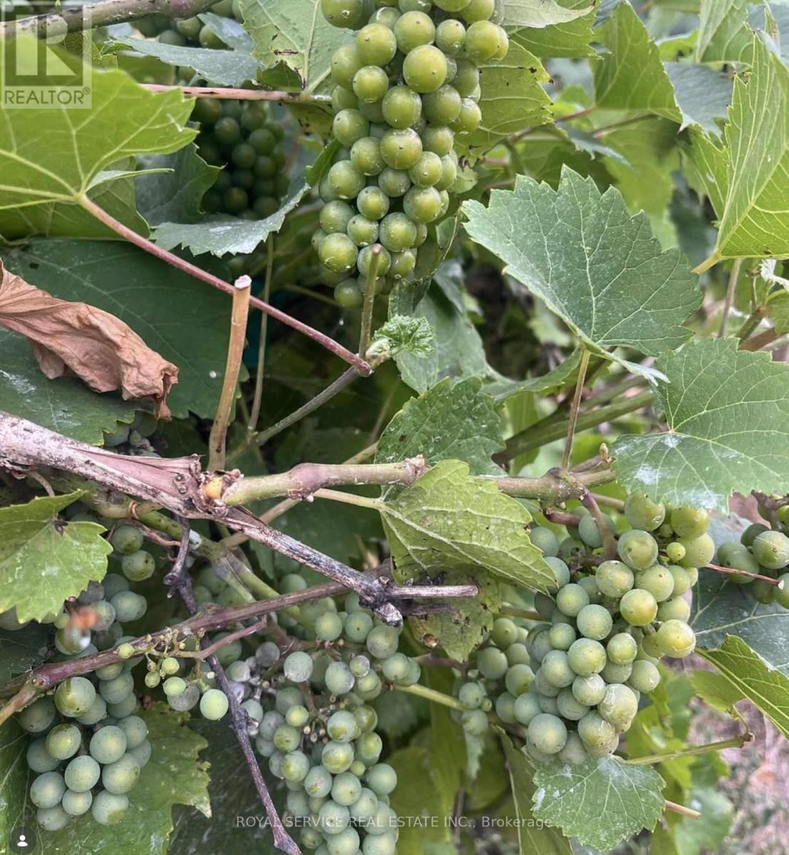 3775 Ganaraska Road, Clarington, Ontario  L0B 1M0 - Photo 41 - E13042436