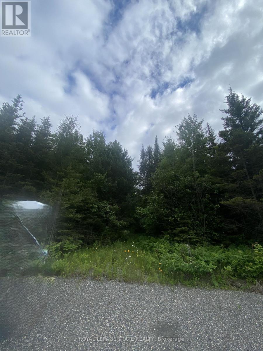 Lot 1 On-17 / Trans Canada Highway, Plummer Additional, Ontario  P0R 1C0 - Photo 3 - X13042758