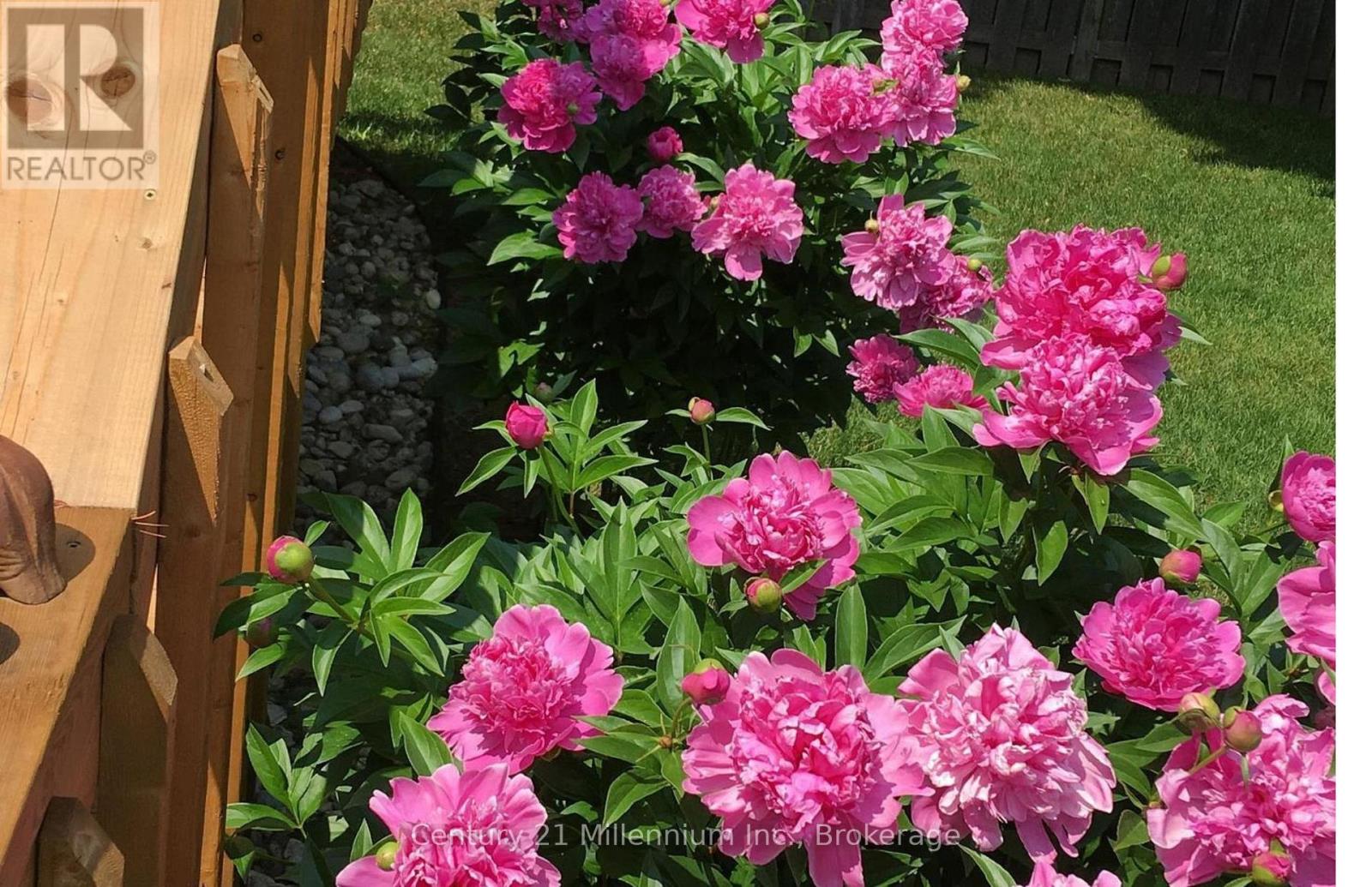 330 1st Street W, Owen Sound, Ontario  N4K 6R4 - Photo 30 - X12724364