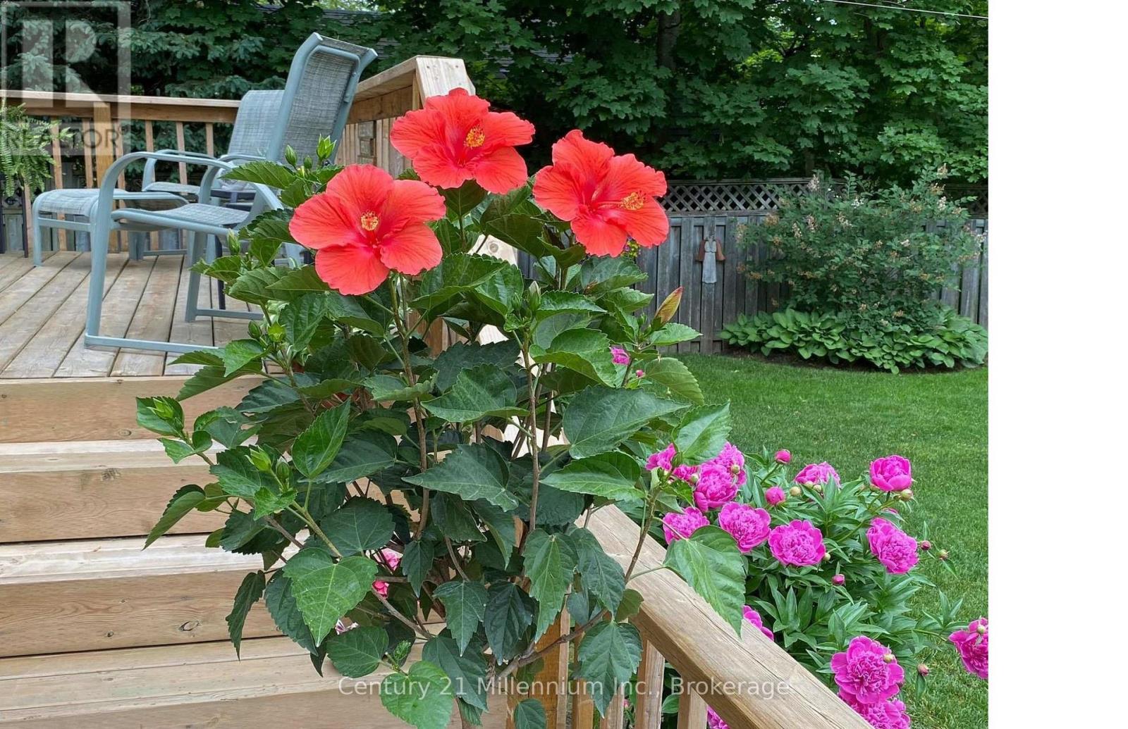 330 1st Street W, Owen Sound, Ontario  N4K 6R4 - Photo 29 - X12724364